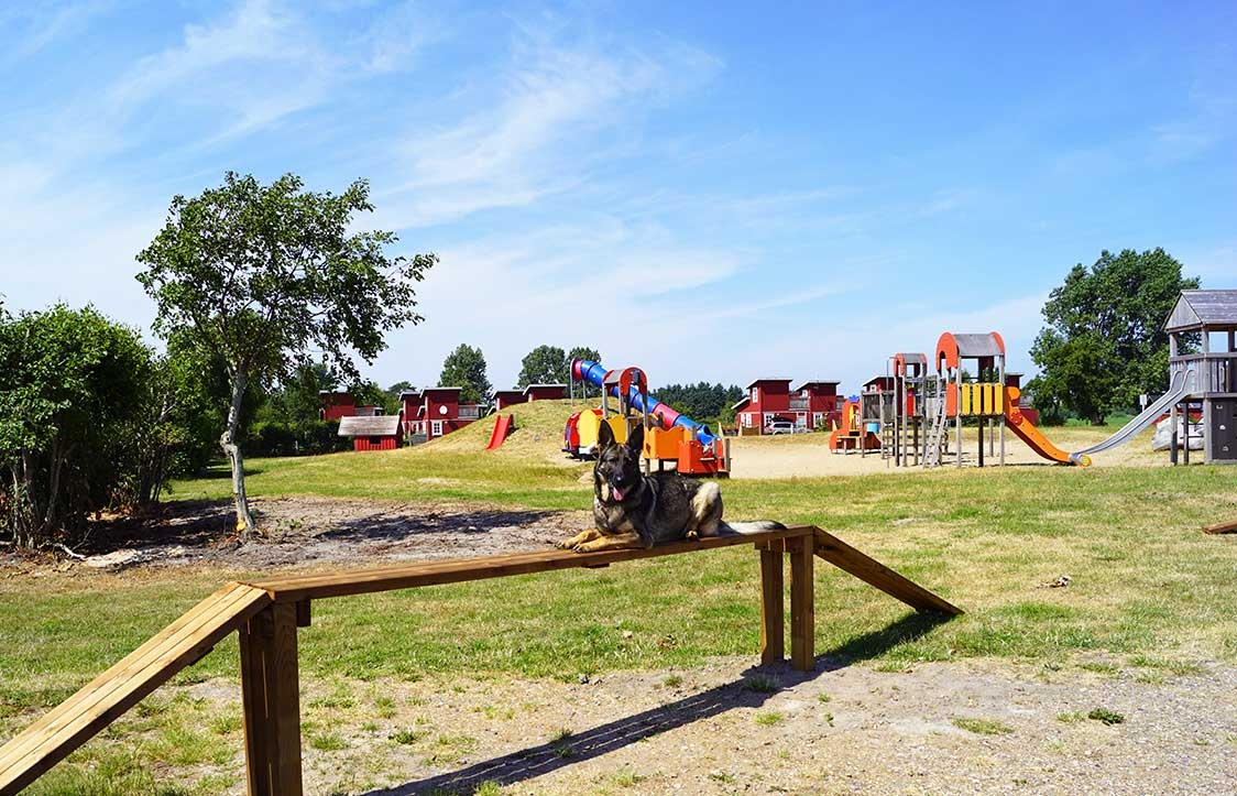 Kommandørgårdens Camping — Kemp in Rømø