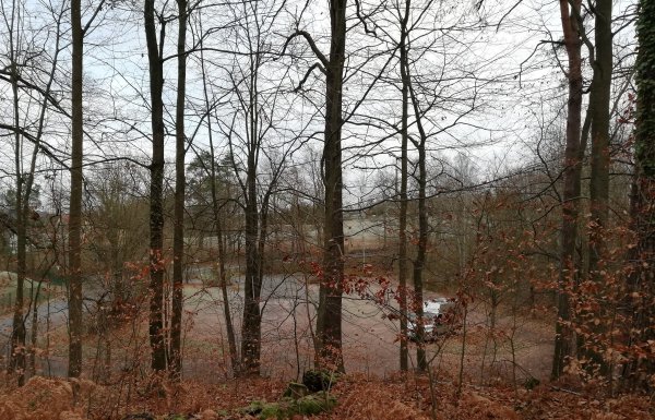 Übernachtungsparkplatz am Buskparkplatz Bad Schandau — Foto 5