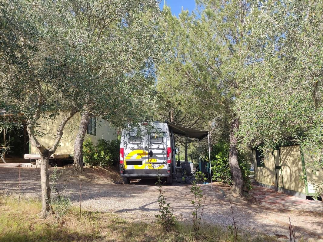 Agricampeggio Poggio ai Pini — Weingut in Certaldo FI