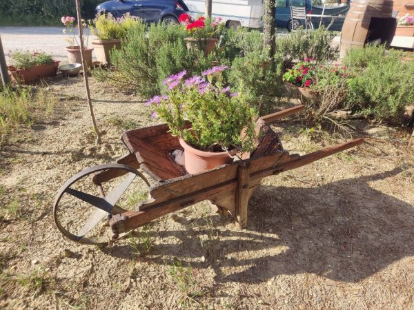 Agricampeggio Poggio ai Pini — Photo 5