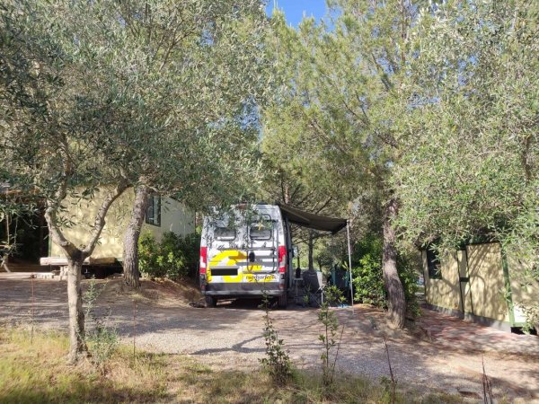 Agricampeggio Poggio ai Pini