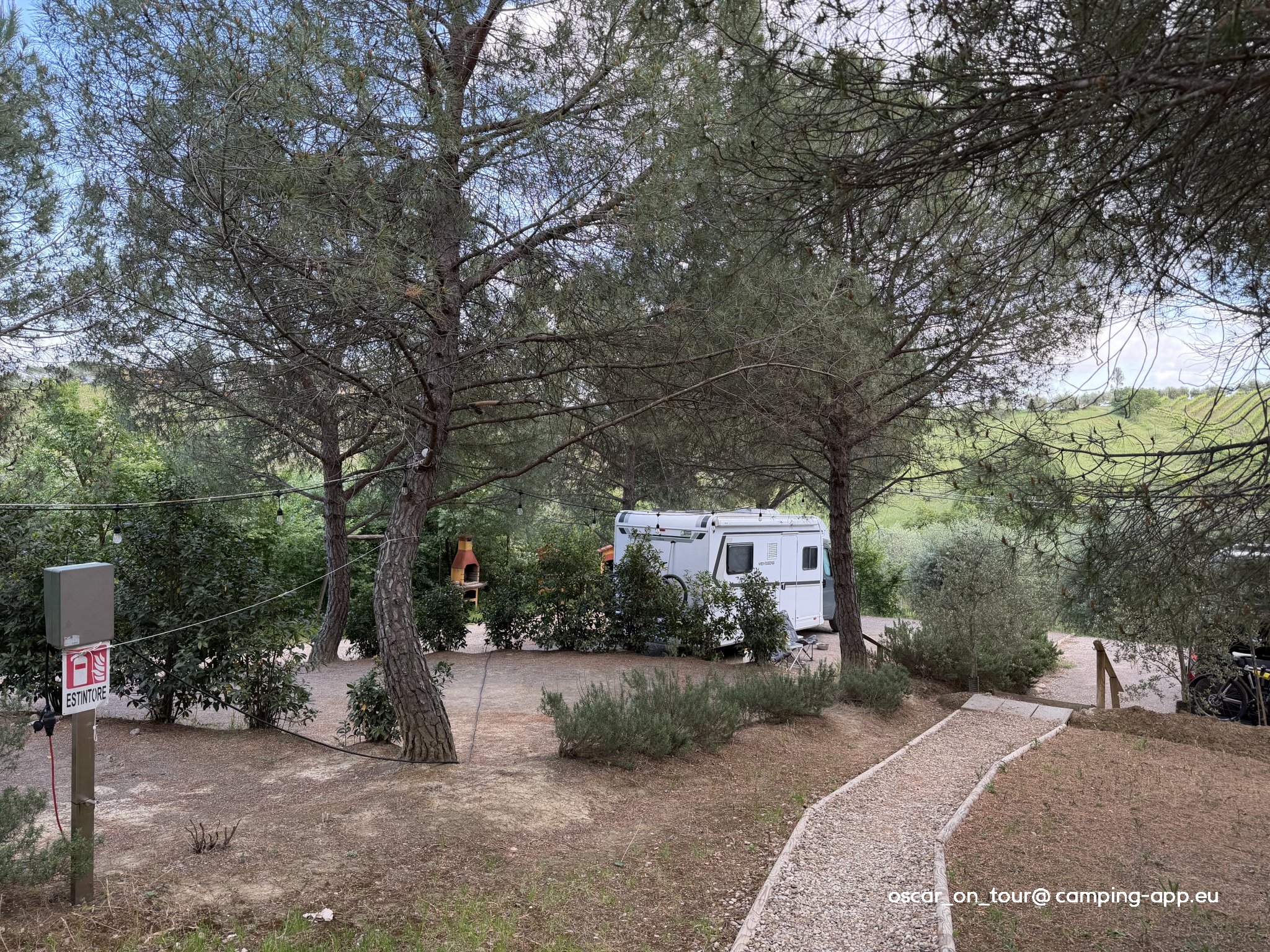 Agricampeggio Poggio ai Pini — Foto 3