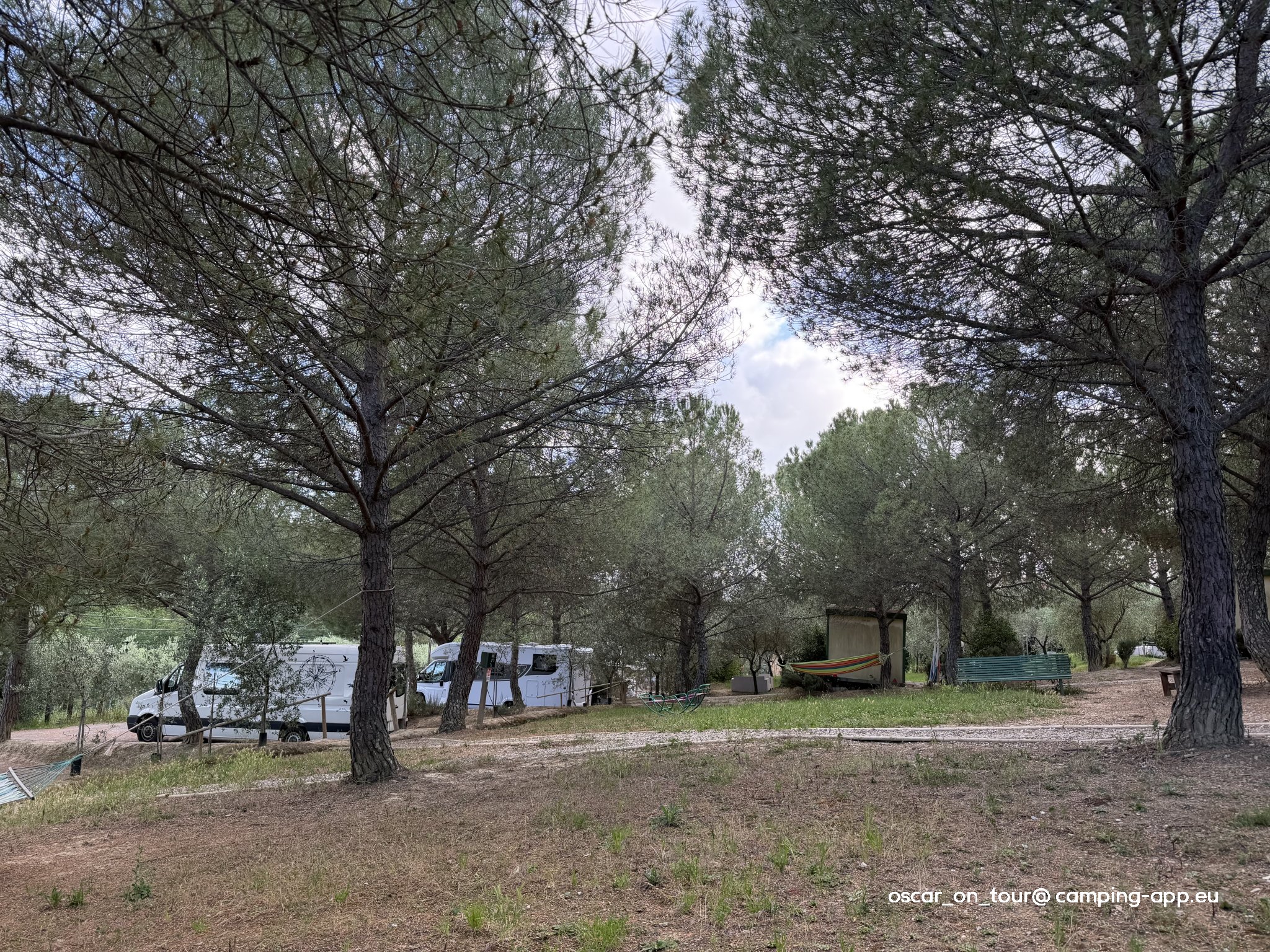 Agricampeggio Poggio ai Pini — Foto 2