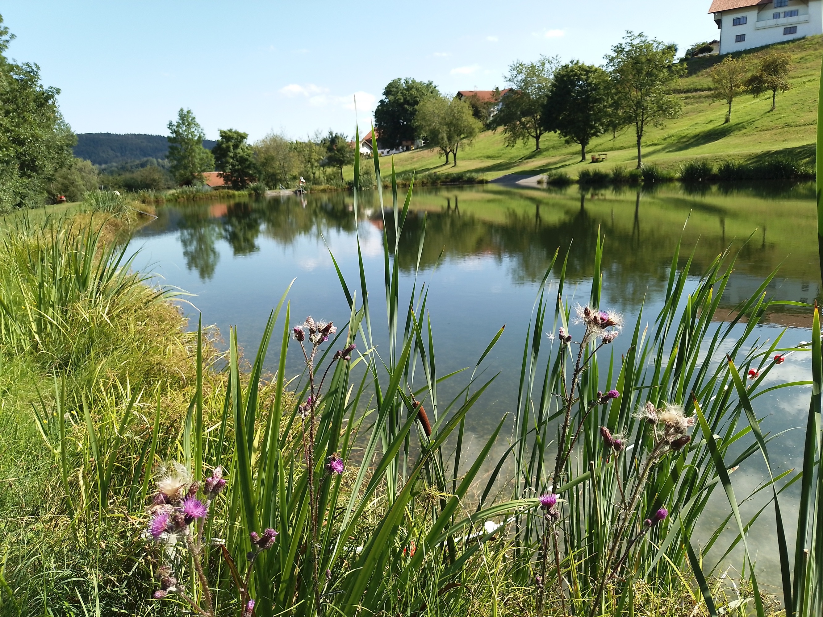 Badeweiher Jandelsbrunn — Karavan Sitesi in Jandelsbrunn