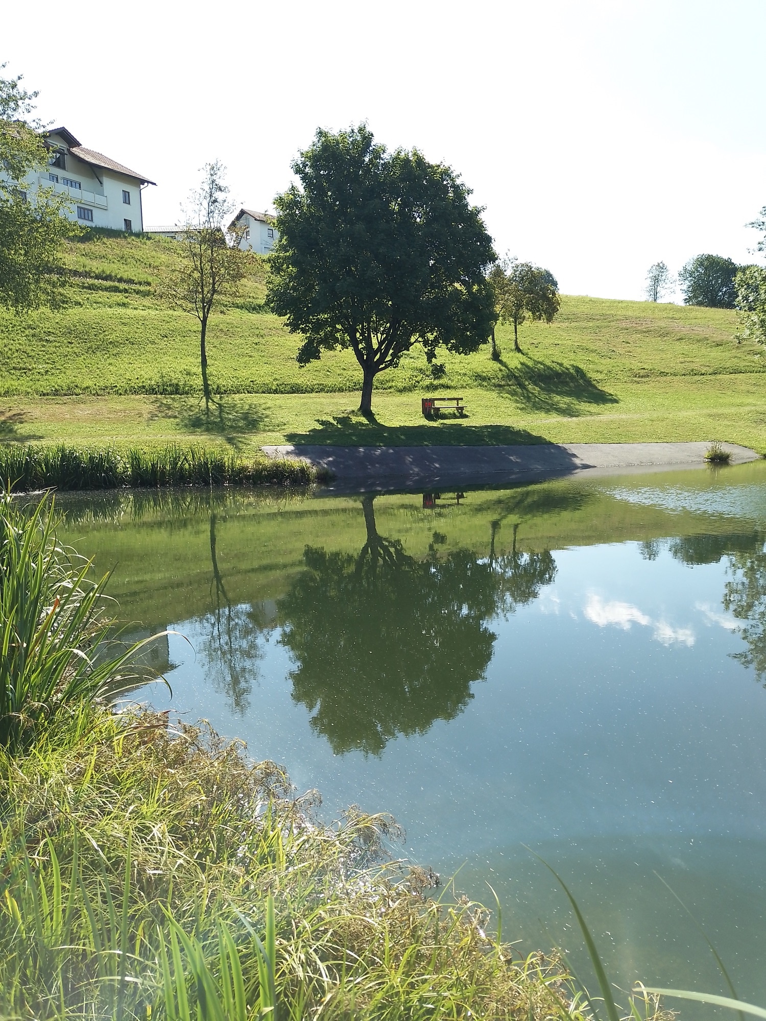 Badeweiher Jandelsbrunn — Campervan Site in Jandelsbrunn