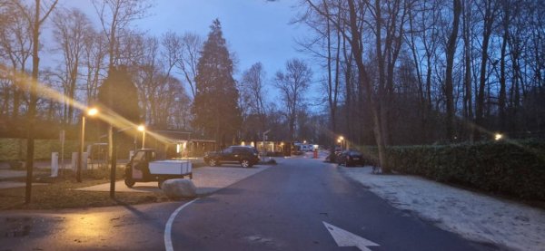 Camping Vliegenbos — Photo 3