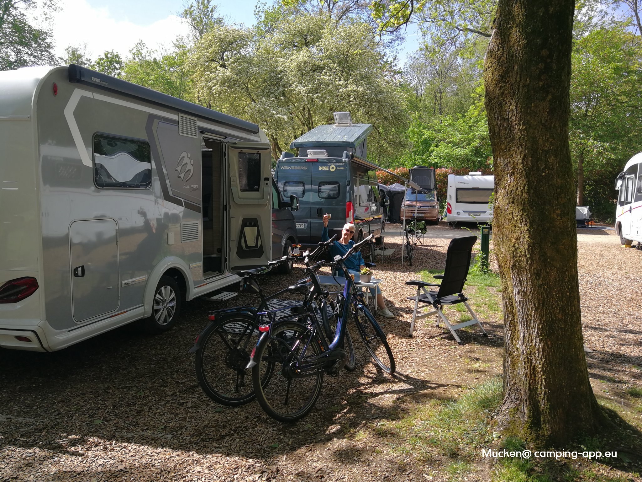 Camping Vliegenbos — Foto 2