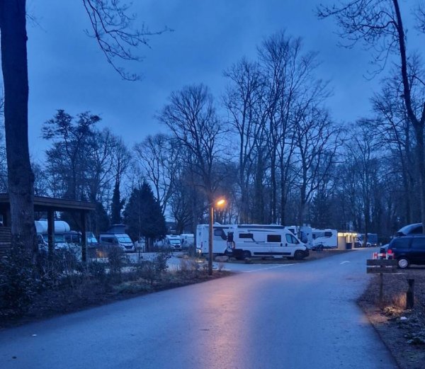 Camping Vliegenbos — Photo 4