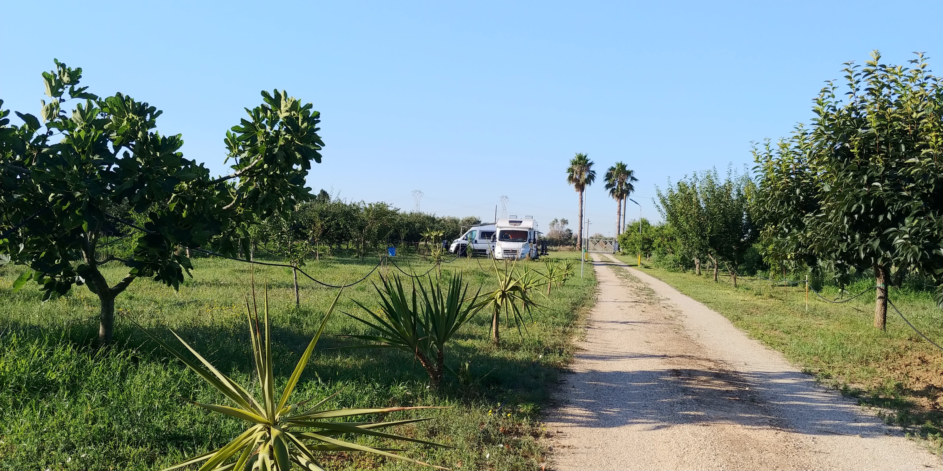 Area Sosta SP 81 — Aire camping car in Brindisi