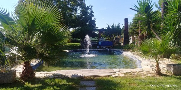 Area Sosta SP 81 — Photo 2