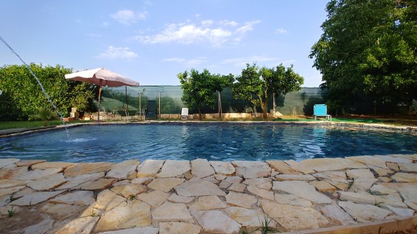 Area Sosta SP 81 — Photo 3