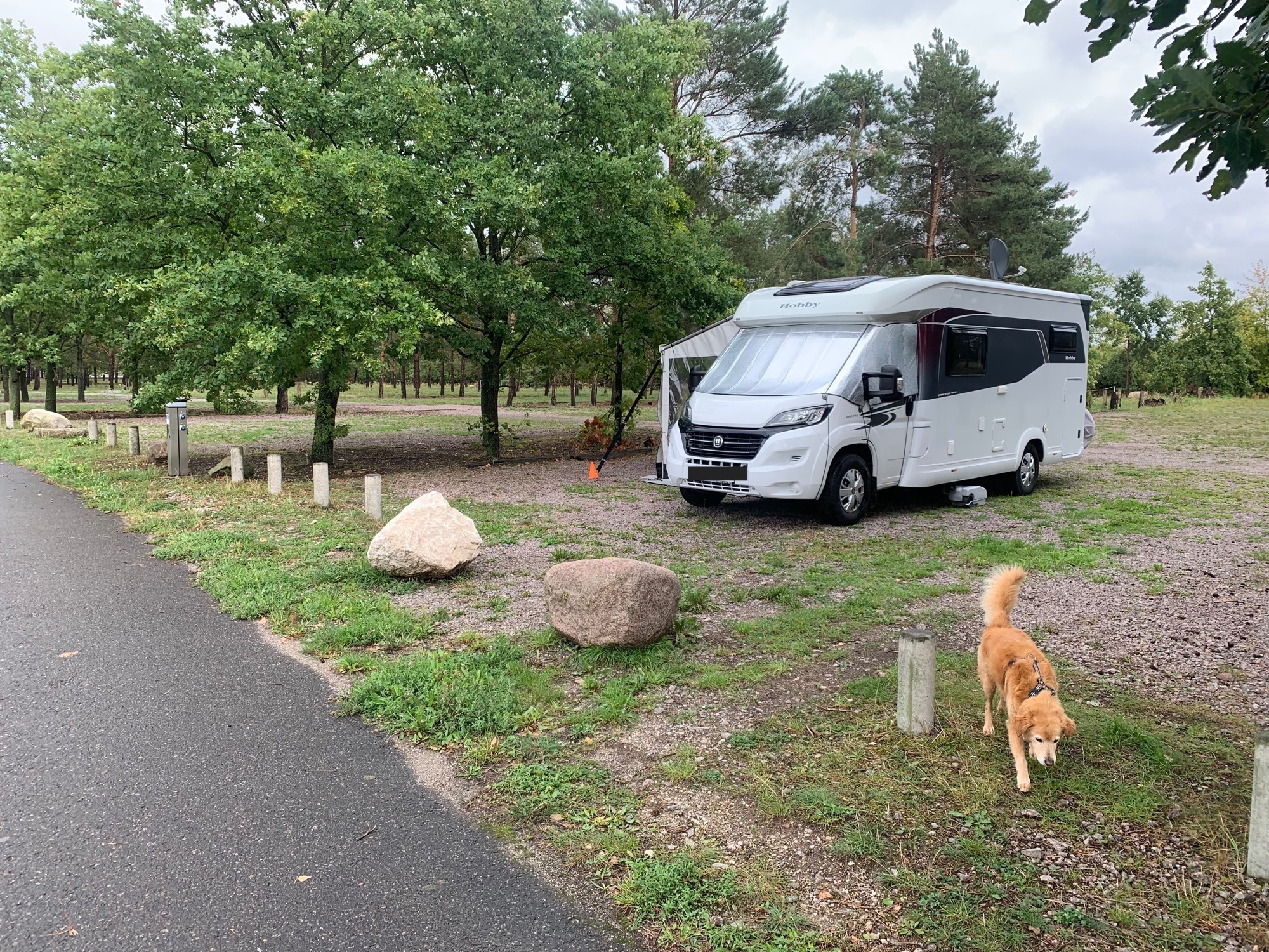 Stellplatz Agora — Sp. parking dla kamperów in Muldestausee
