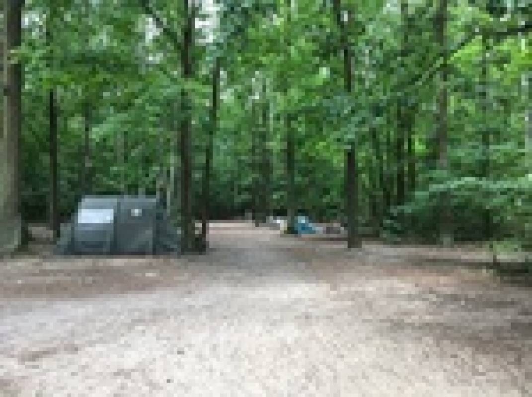 Camping-naturfreunde-springeberg — Kamp yeri in Woltersdorf bei Erkner