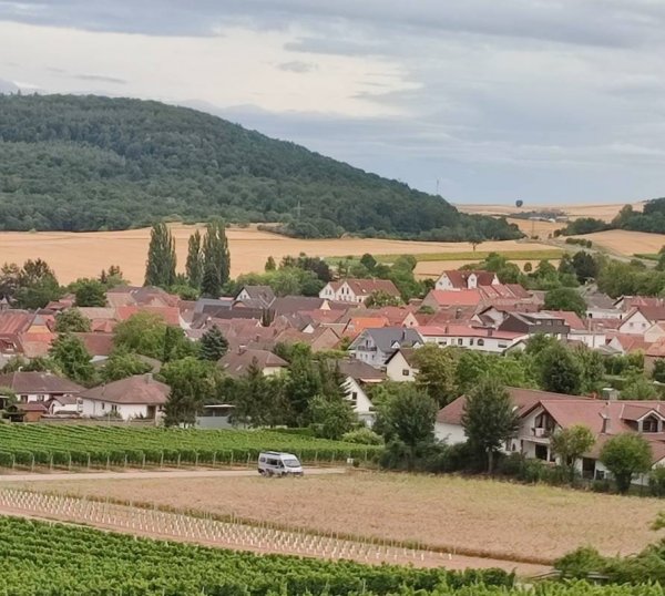 Weingut in den Weinbergen