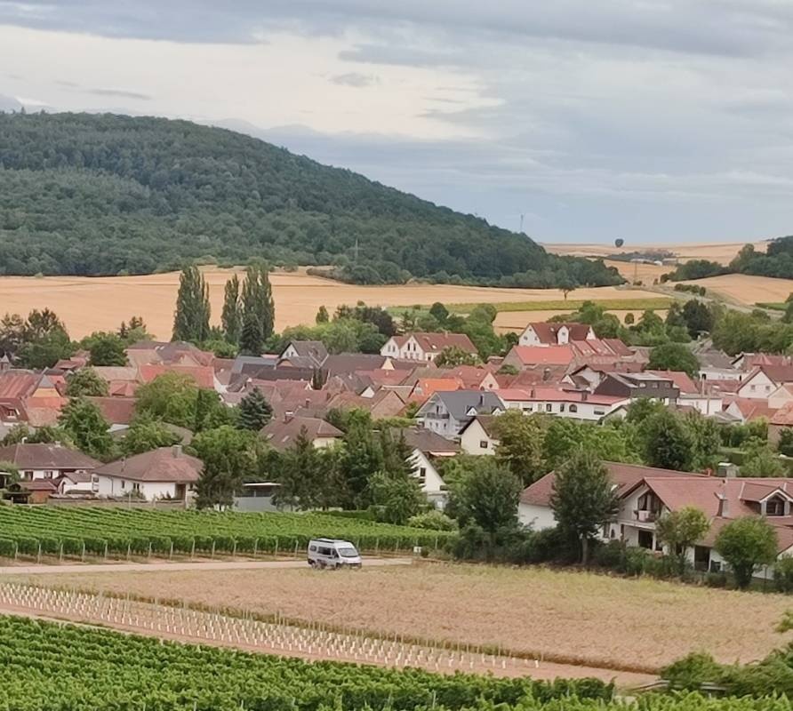 Weingut in den Weinbergen — Weingut in Frei-Laubersheim