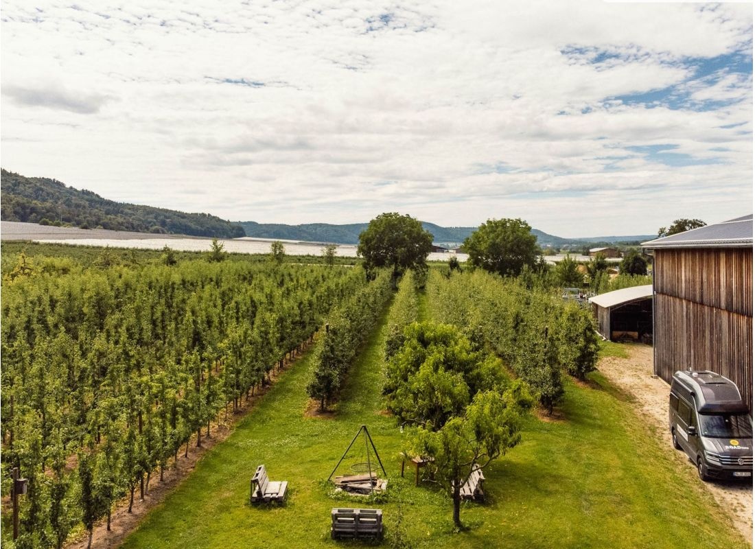 Stellplatz auf dem Obsthof neben Birnenplantage — Sítio para autocaravanas in Bodman-Ludwigshafen