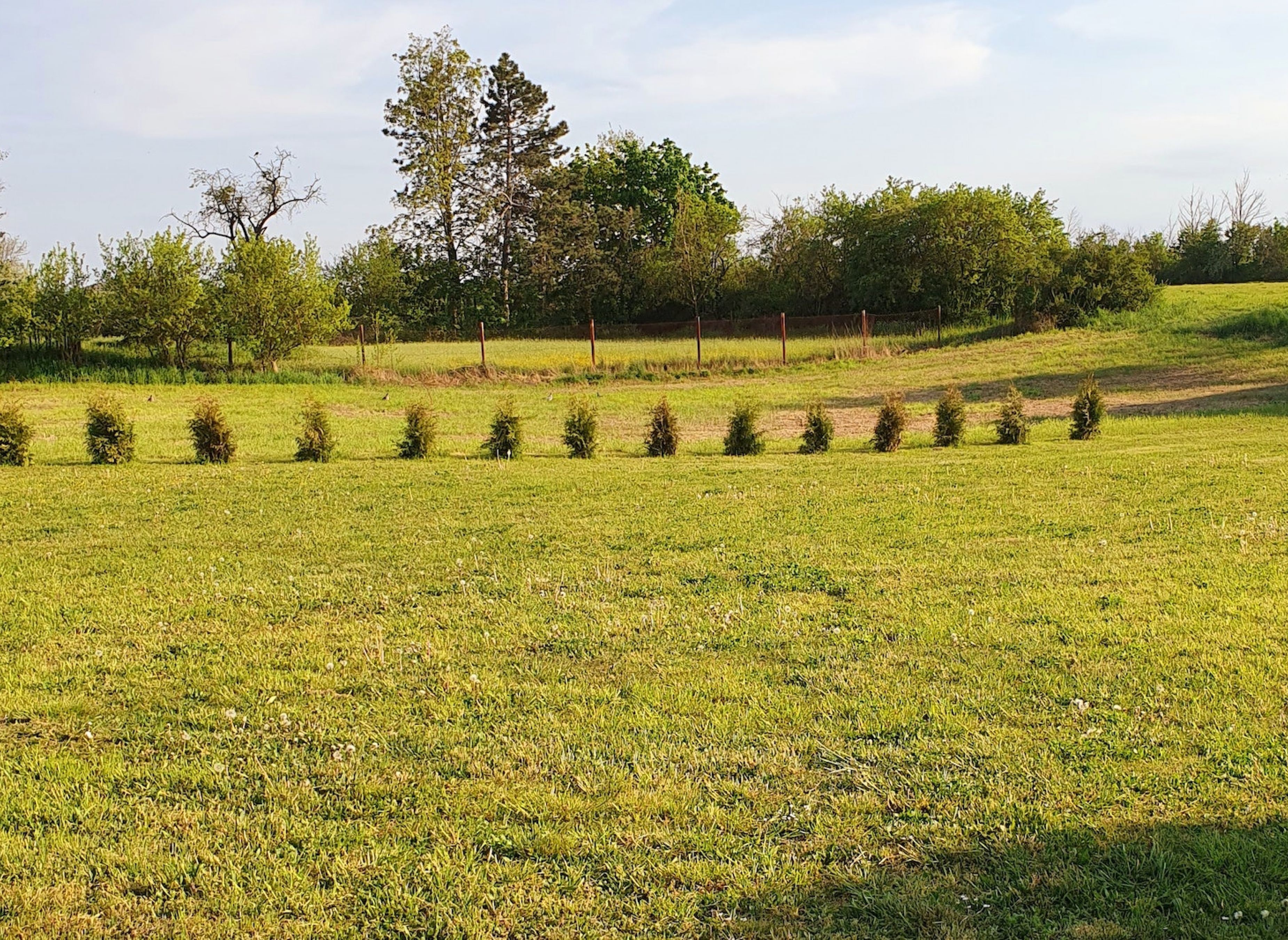 Wiese am alten Hirtenteich — Sp. parking dla kamperów in Delitzsch