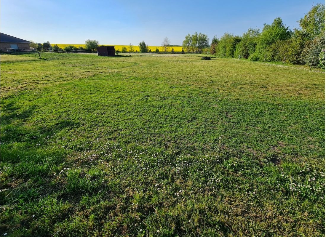 Wiese — Sp. parking dla kamperów in Teutschenthal