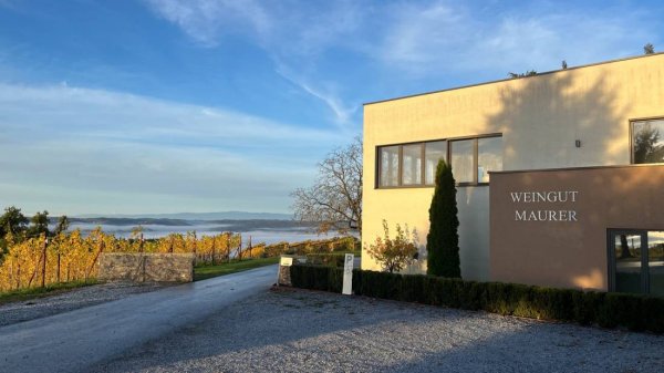 Weingut Maurer am Hohenberg — Foto 6