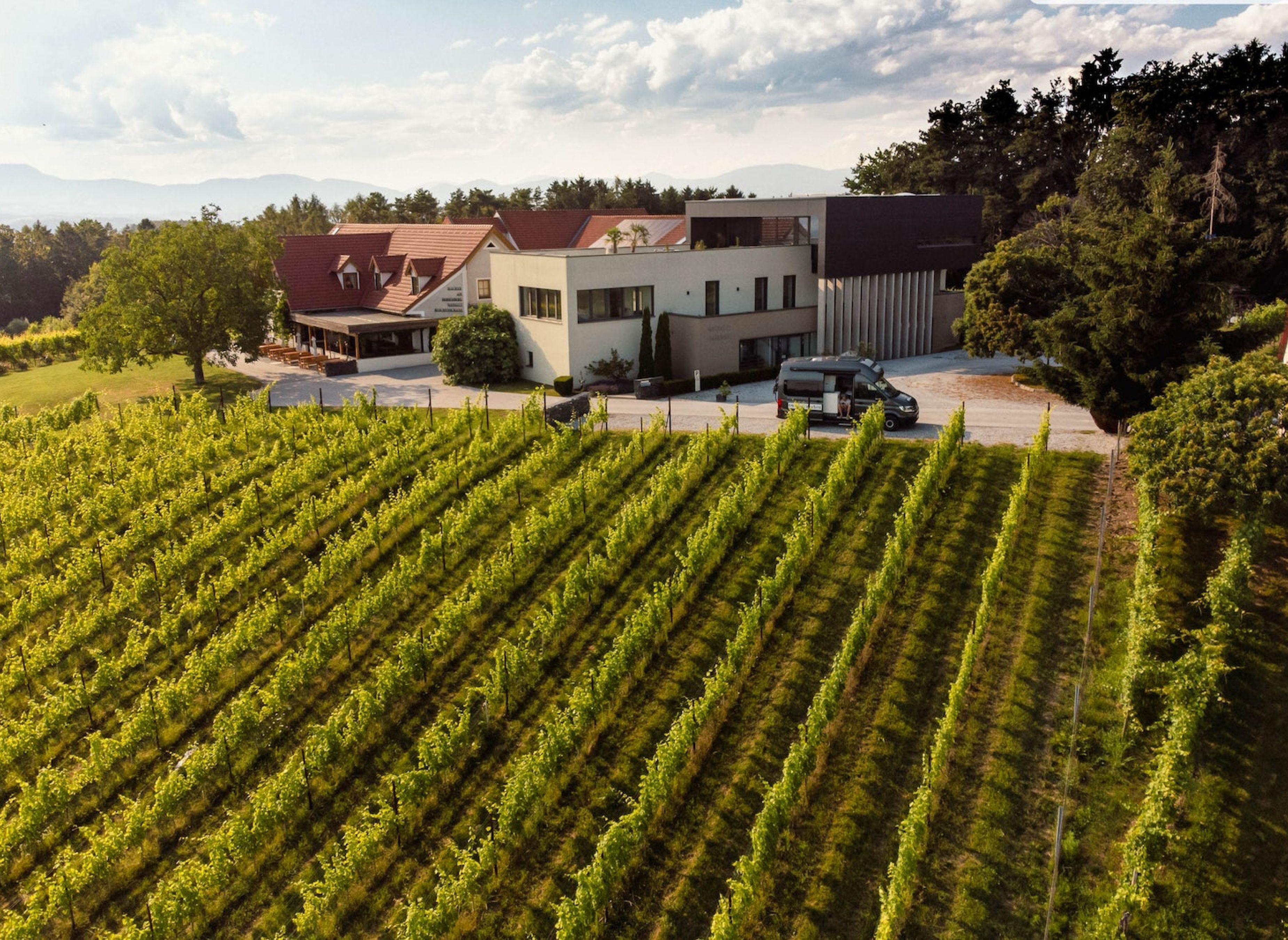 Weingut Maurer am Hohenberg — Vinícola in Nitscha