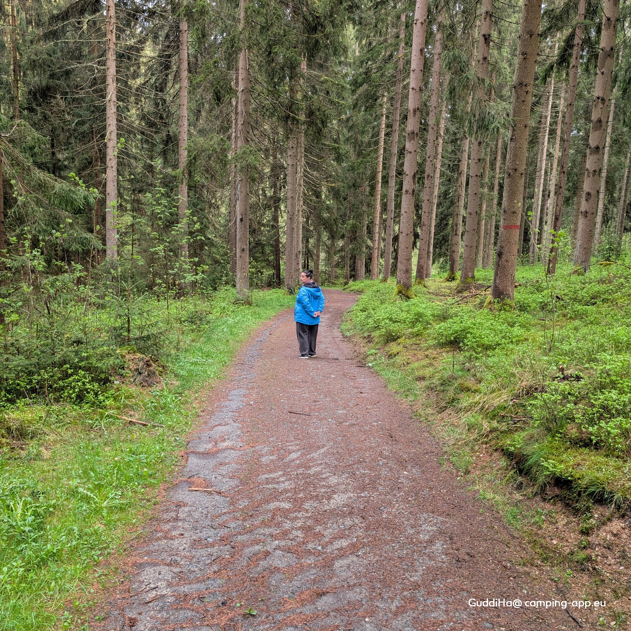 Campingplatz Dürrenbach — Photo 4