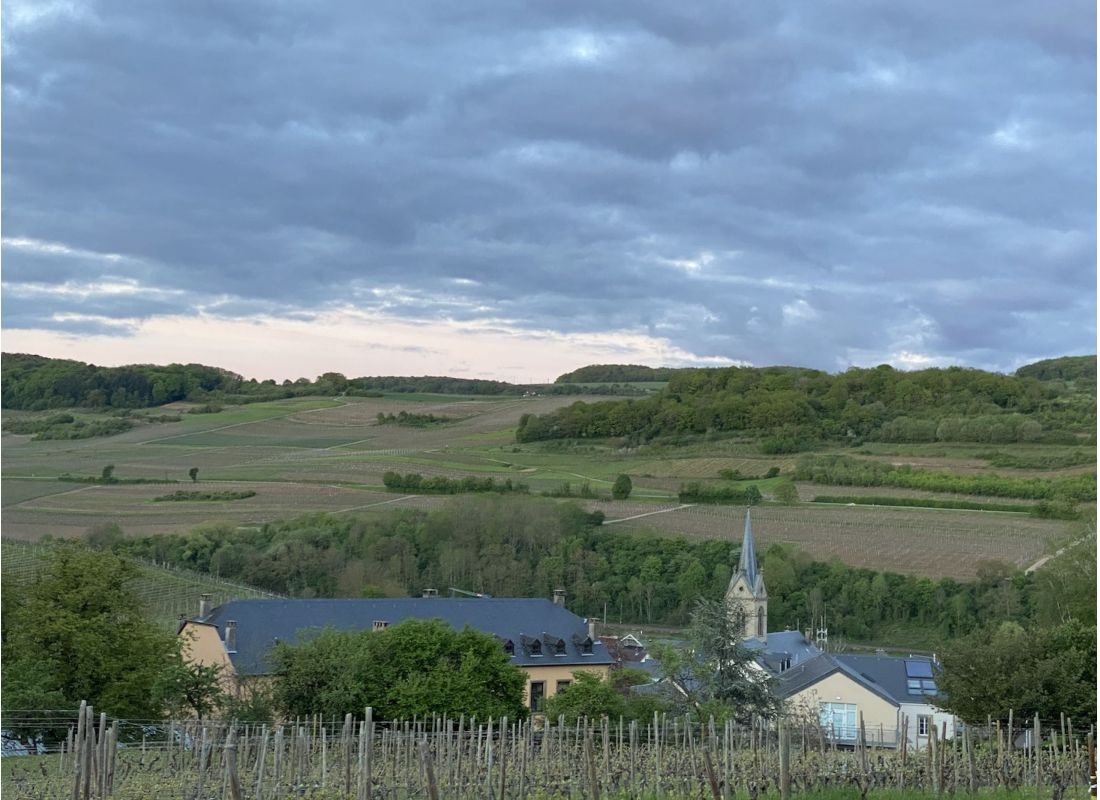 Stellplatz am Weingut — Winery in Ahn
