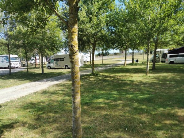 Camping Car Park Hirel — Photo 5