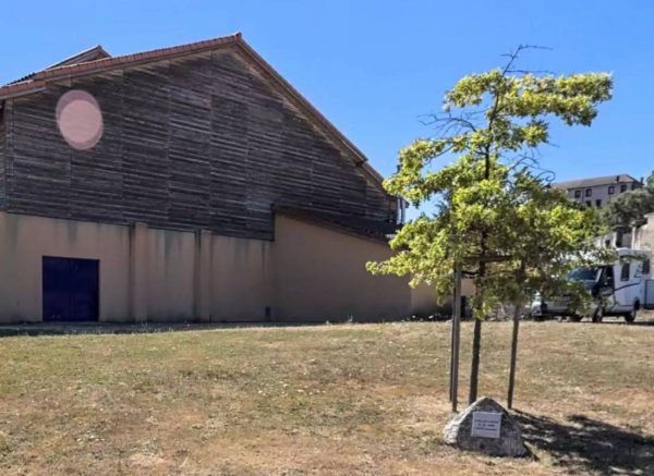 Stellplatz Ambierle — Photo 2