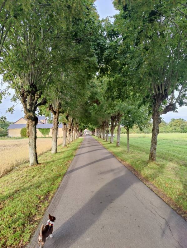 Stellplatz Beuvron-en-Auge — Fotografie 3