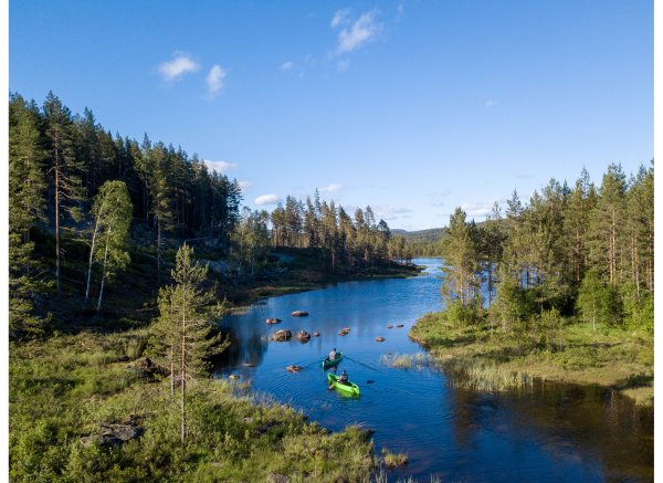 Åslandsdammen — Photo 4