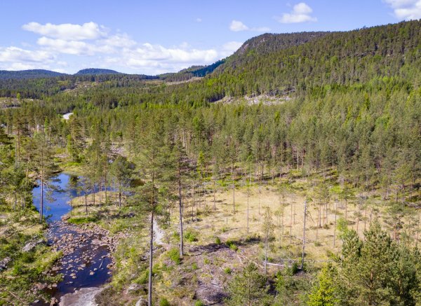 Åslandsdammen — Foto 5
