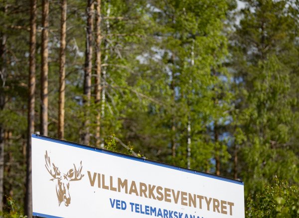 Åslandsdammen — Foto 4