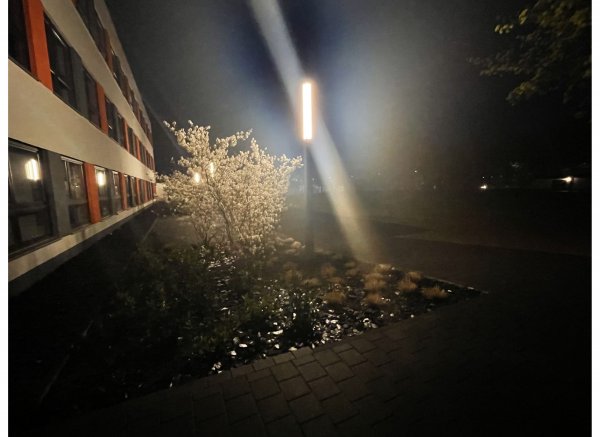 Stellplätze - Jena — Photo 5