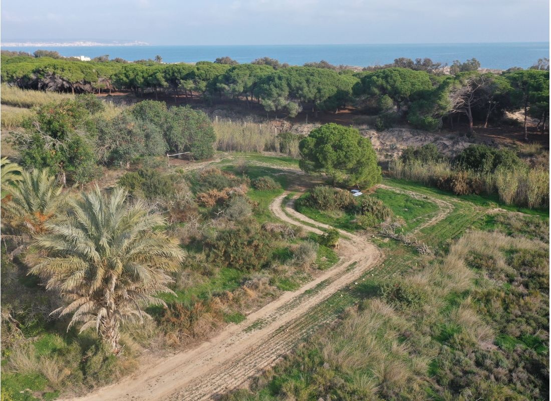 Los Limoneros — Campingplatz in Elx