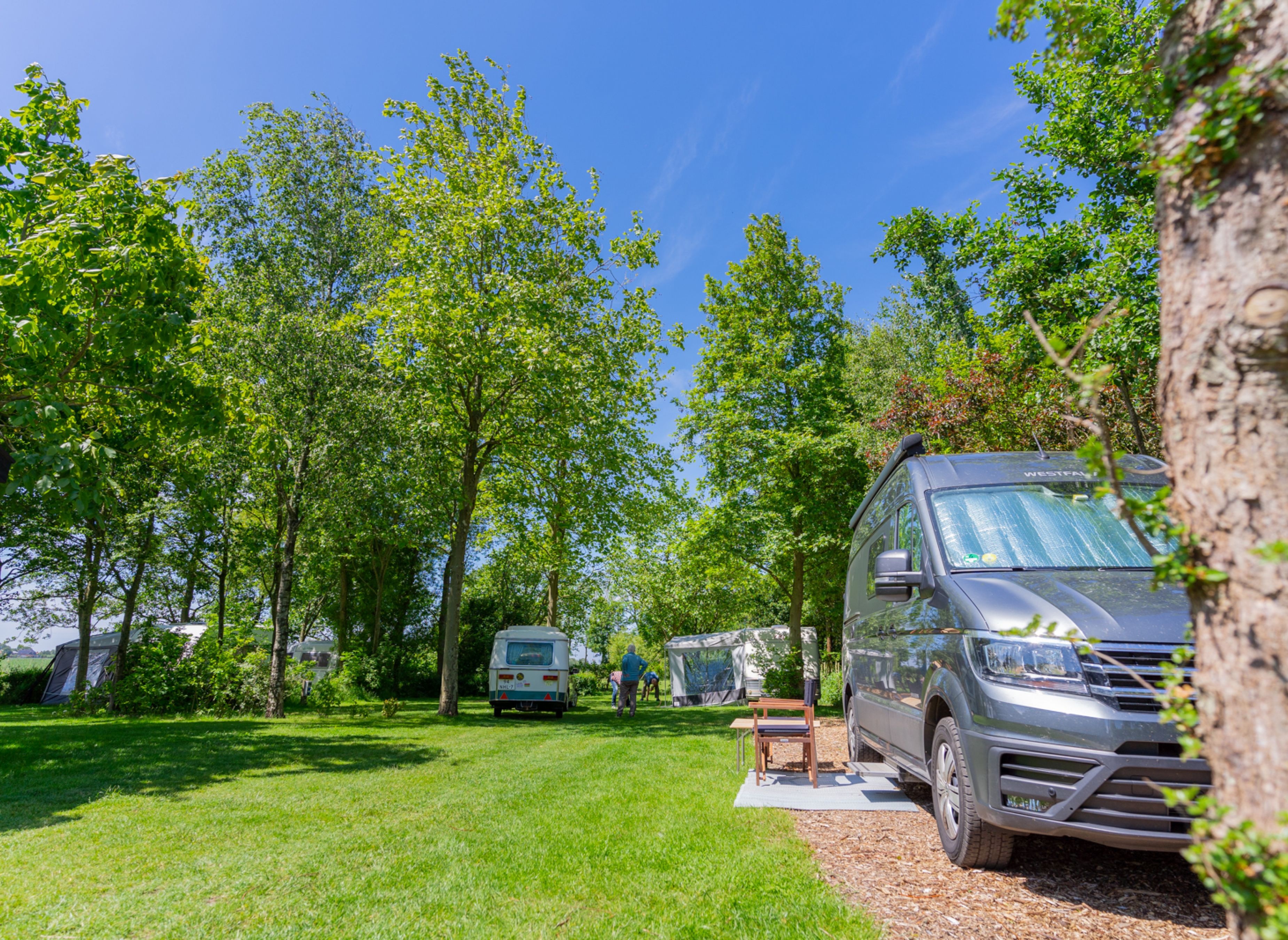 De Nije Trije — Camping in Pingjum