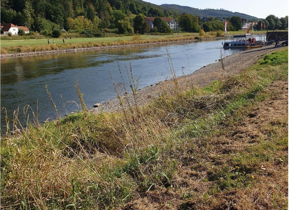 Parking — Bobilplass in Bodenwerder