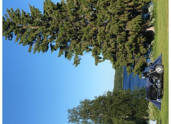 Pajala Camping Route 99 — Foto 3