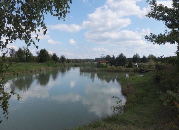 Fisch Camp Ownice — Photo 2