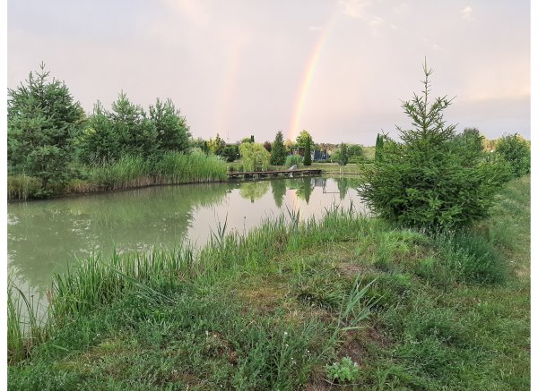 Fisch Camp Ownice — Photo 6