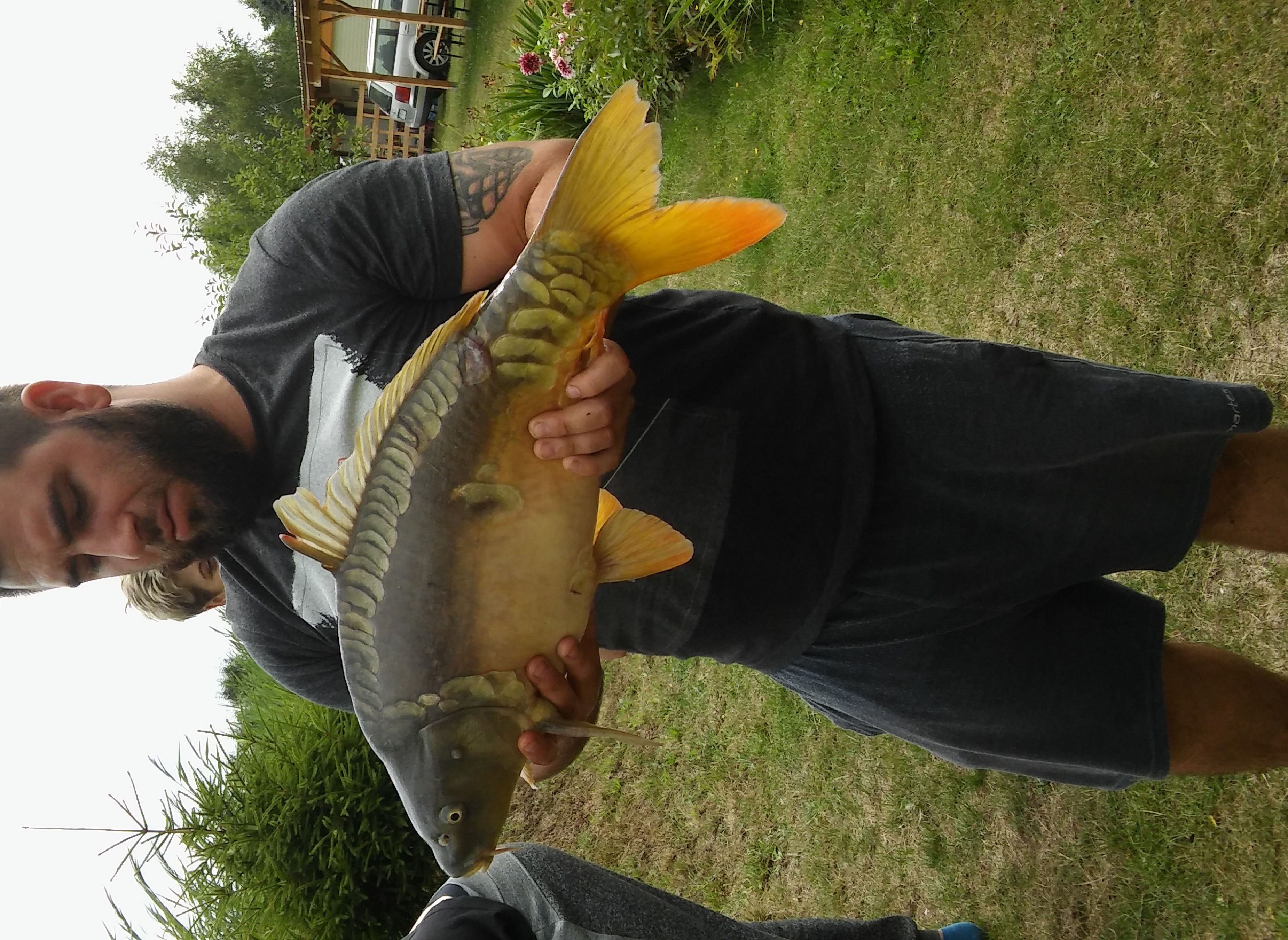 Fisch Camp Ownice — Camperplaats in Ownice