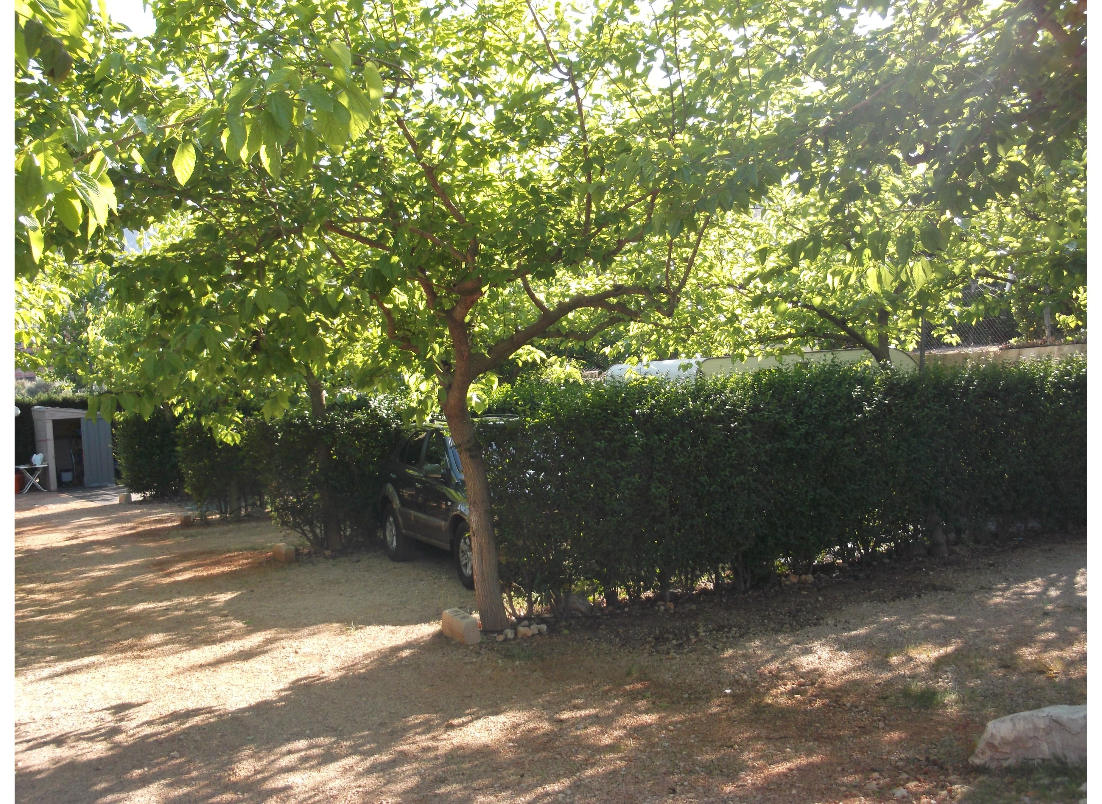 CAMPING LA FALAGUERA — Campingplatz in Valencia