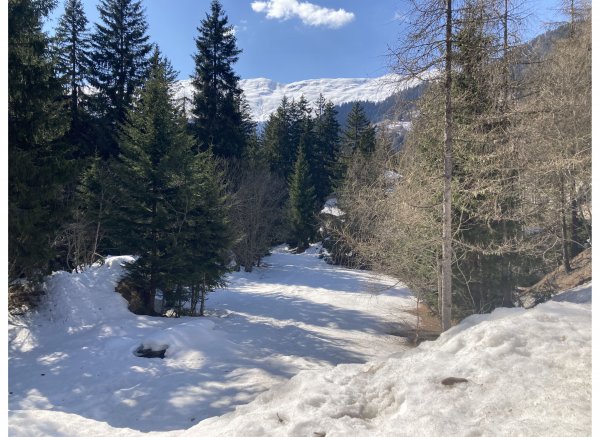 Stellplatz Rischinu — Photo 2