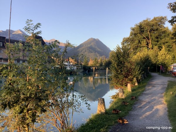 TCS Camping Interlaken — Photo 5