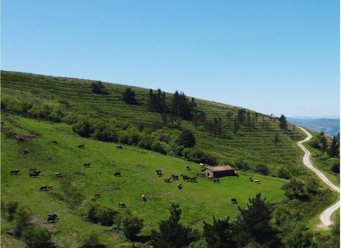 El Hayal de Esles — Area di sosta in Cantabria