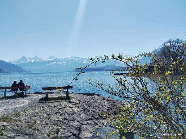 TCS Camping Gwatt Thunersee — Foto 2