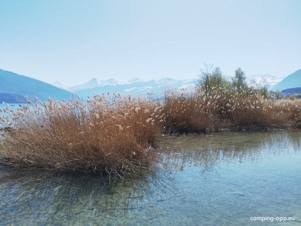 TCS Camping Gwatt Thunersee — Foto 3