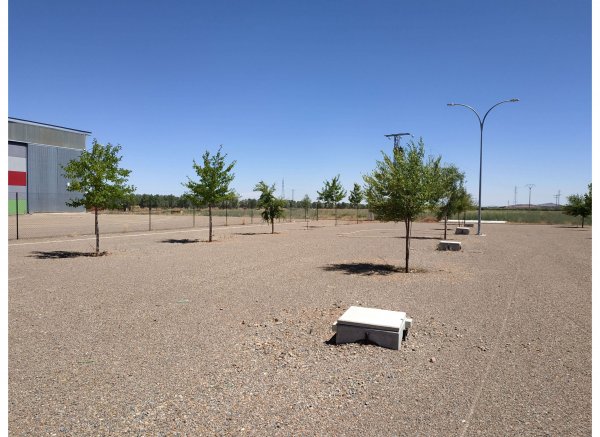 SERVIA4 KM.132 SL — Photo 3