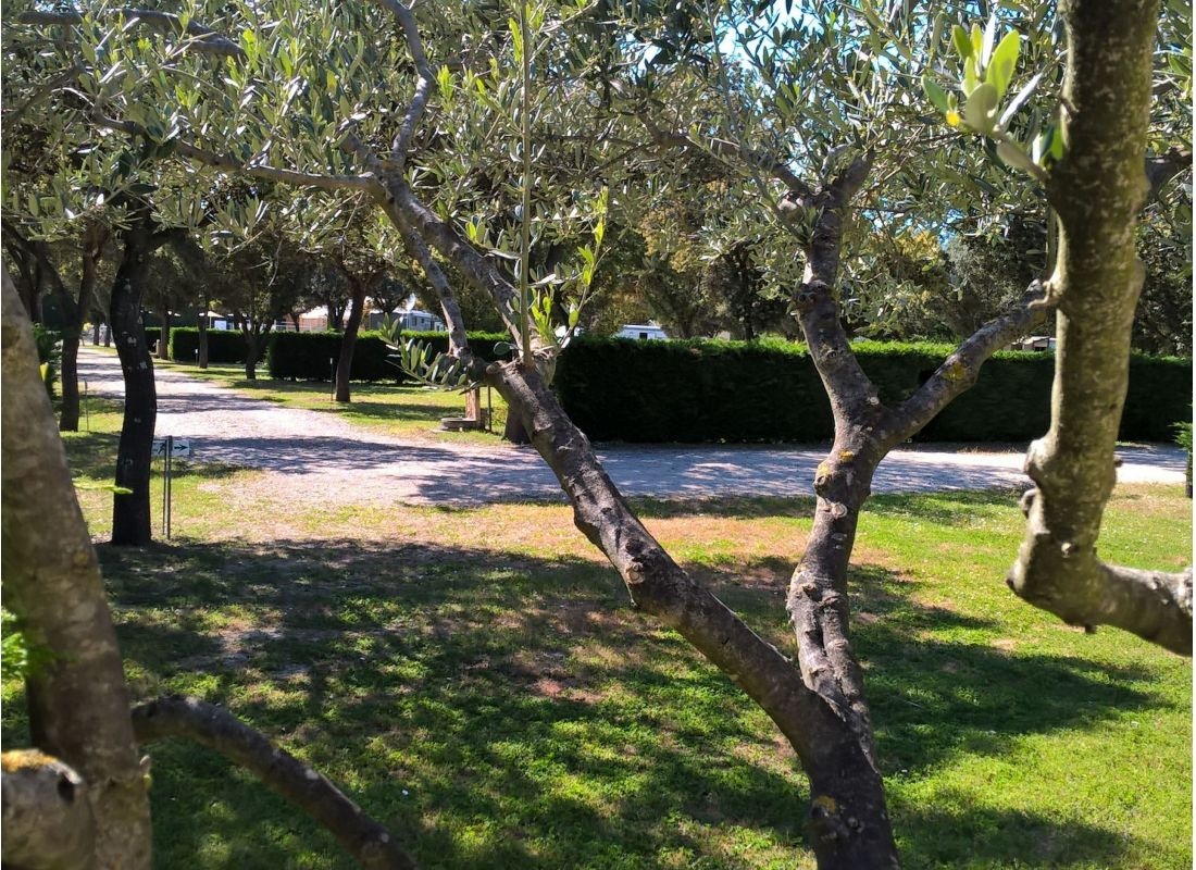 Camping Des Favards **** — Cámping in Violes