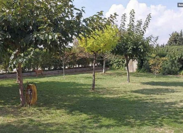 El Canar — Photo 2