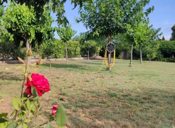 El Canar — Photo 3